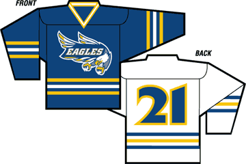 hockey jersey