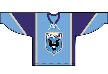 hockey jerseys