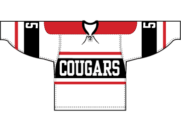 hockey jerseys